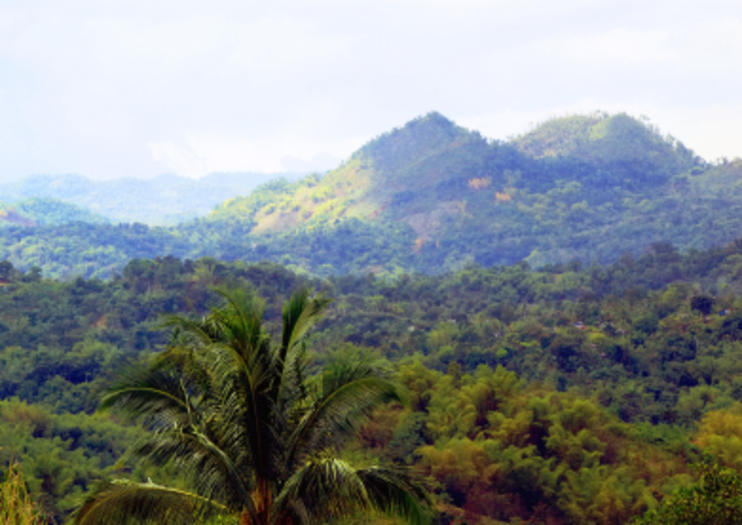 Blue Mountains